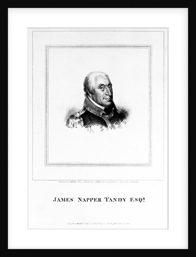 James Napper Tandy by James Petrie