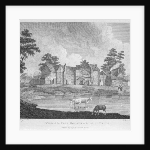 View of the Pest-Houses at Tothill Fields engraved by Charles Pye, 1796 by Edward Dayes (after)