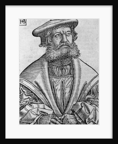 Helius Eobanus Hessus, 1534 by Hans Brosamer