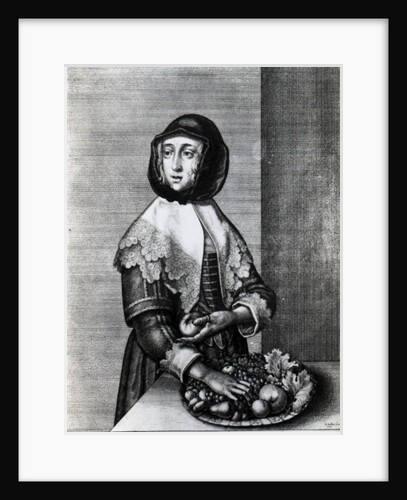 Autumn, 1641 by Wenceslaus Hollar