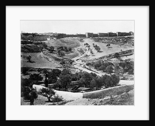 Garden of Gethsemane, 1857 by James & Beato Felice (1832-1909) Robertson