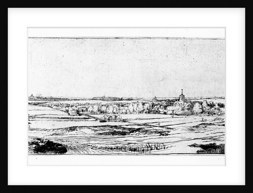 The Goldweigher's Field near Haarlem, 1651 by Rembrandt Harmensz. van Rijn