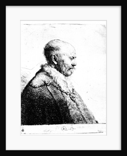 Portrait of a bald-headed man, 1630 by Rembrandt Harmensz. van Rijn