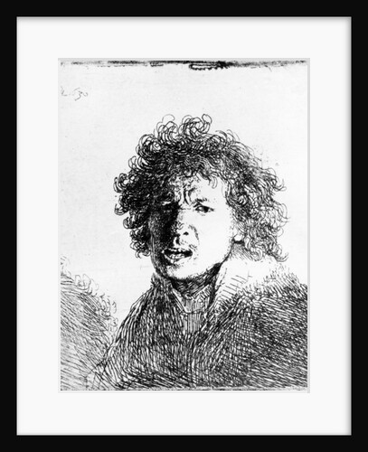 Self Portrait, 1630 by Rembrandt Harmensz. van Rijn