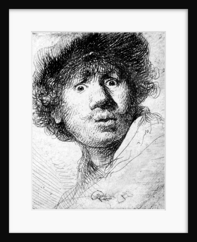 Self Portrait, 1630 by Rembrandt Harmensz. van Rijn