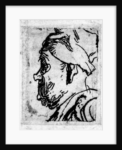 Old man with a snub nose, c.1629 by Rembrandt Harmensz. van Rijn
