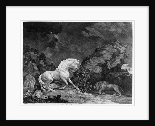 A Horse Affrighted by a Lion by George Stubbs