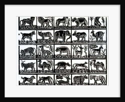 Collection of animals by School German