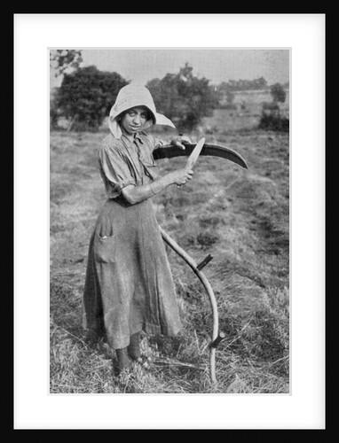 Harvesting - Member of the Leicester Women's Volunteer Reserve helping a farmer, War Office photographs, 1916 by English Photographer