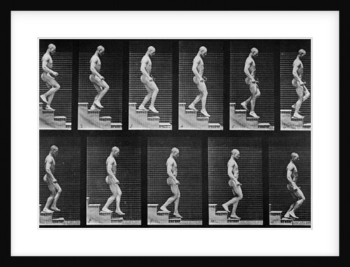 Man descending stairs by Eadweard Muybridge