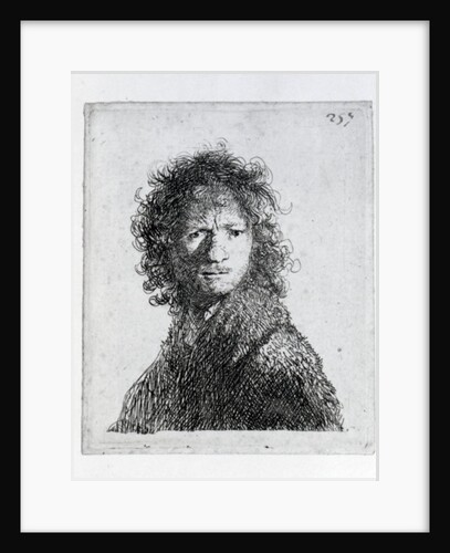 Self Portrait, 1630 by Rembrandt Harmensz. van Rijn