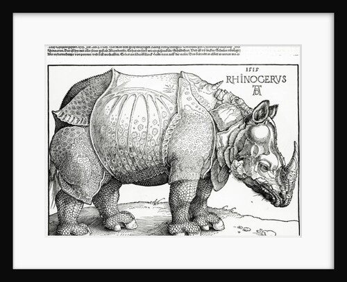 The Rhinoceros, 1515 by Albrecht Dürer or Duerer