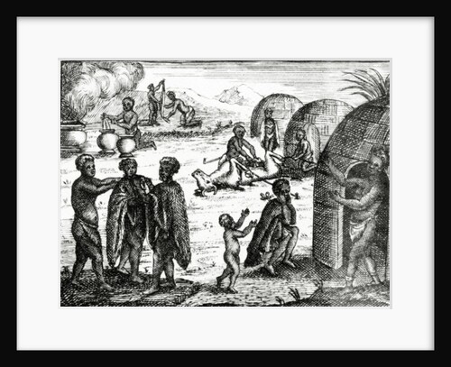 The Hottentots adore a certain insect by English School
