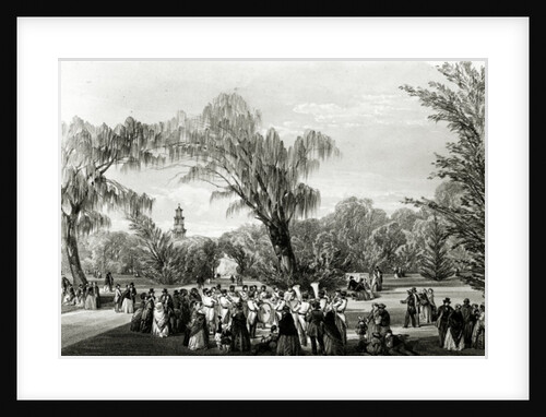 Botanical Gardens, Cape Town, print made by W. Simpson, c.1850s by Thomas William Bowler