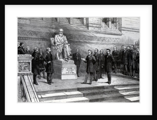 Unveiling the statue of the late Charles Darwin in the Natural History Museum, South Kensington, 9th June 1885 by English School