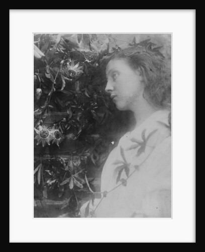 Illustration for the poem 'Maud' by Alfred, Lord Tennyson, 1865 by Julia Margaret Cameron