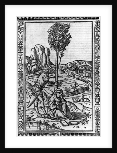 Frontispiece for a book of poems by Francesco Petrarch by Italian School