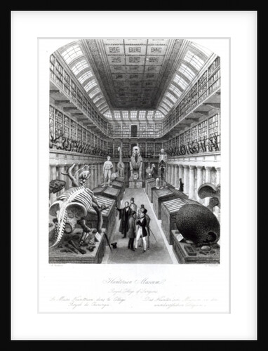The Hunterian Museum by Thomas Hosmer Shepherd