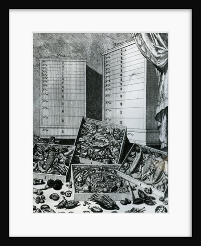 Table VII from 'Elenchus Tabularum' by Levinus Vincent, published 1719 by Dutch School