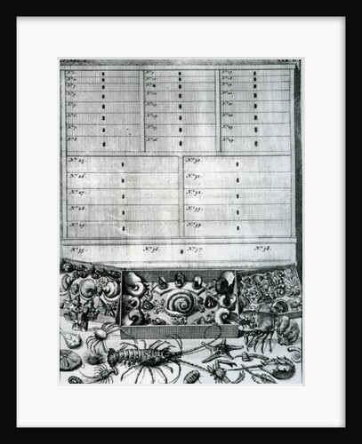 Table II from 'Elenchus Tabularum' by Levinus Vincent, published 1719 by Dutch School