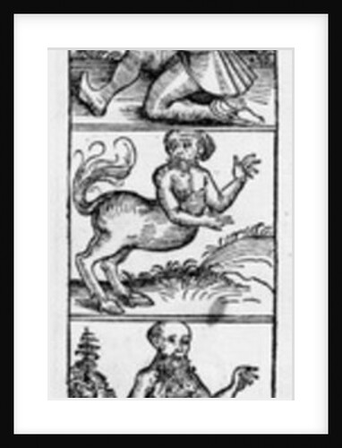 Monsters from the 'Nuremberg Chronicle' by Hartmann Schedel, published 1493 by Michael Wolgemut or Wolgemuth