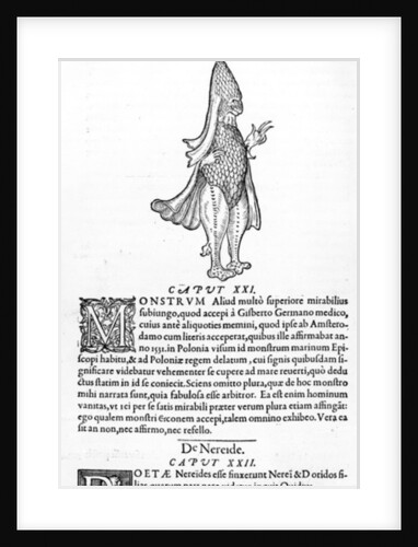 Sea Monster by French School
