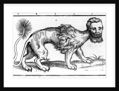 Manticore from 'Historie of Foure-Footed Beastes' by Edward Topsell, published 1607 by Edward Topsell