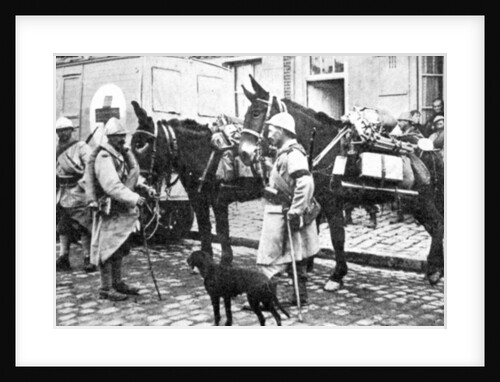 Red Cross wagon during WWI by English Photographer
