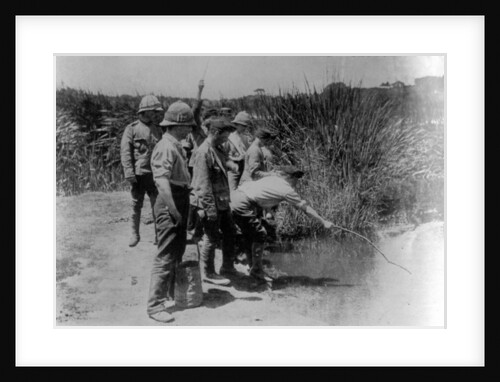 Off duty soldiers during WWI, fishing for sticklebacks by English Photographer