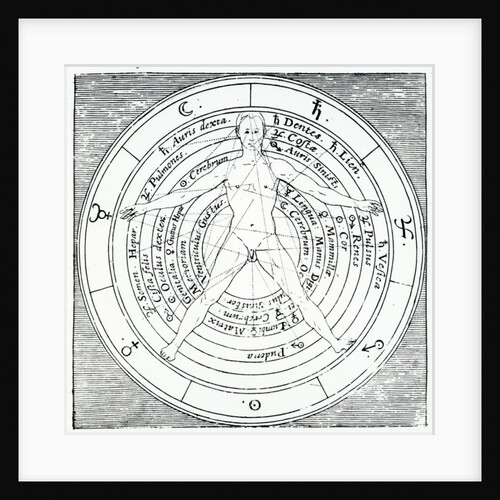 Vitruvian figure by English School