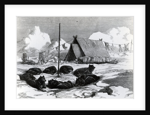 Sledge Travelling: Method of fastening dogs when camping, 1876 by English School