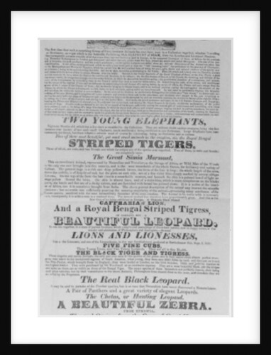 Poster for Wombwell's Royal Menagerie's appearance at the Bartholomew Fair, 1830 by English School