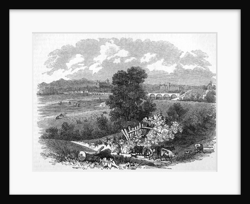 Carlisle by English School