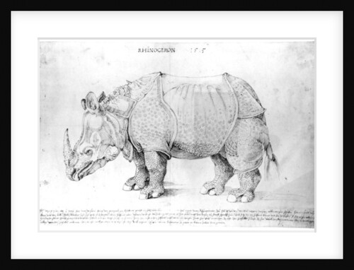 Rhinoceros, 1515 by Albrecht Dürer or Duerer