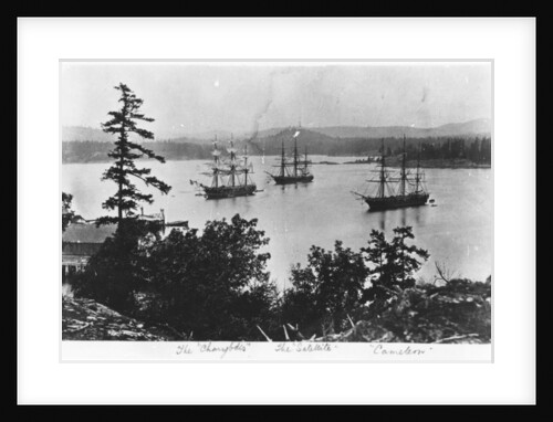HMS Charybdis, HMS Satellite and HMS Cameleon at Esquimalt Royal Navy Dockyard, British Columbia, c.1880s by English Photographer