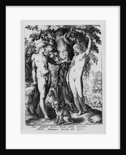 Adam and Eve by Bartholomaeus Spranger