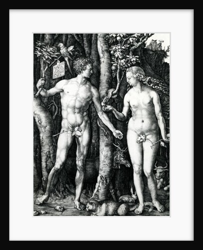 Adam and Eve, 1504 by Albrecht Dürer or Duerer