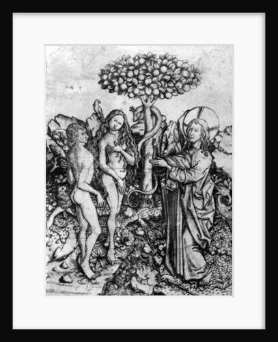 The Fall of Mankind, c.1450-67 by Master E. S.