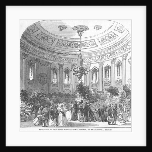 Exhibition of the Royal Horticultural Society, at the Rotunda, Dublin by English School