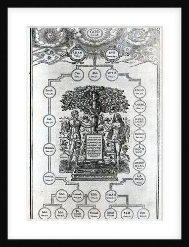 Adam and Eve's Family Tree, 1556 by English School