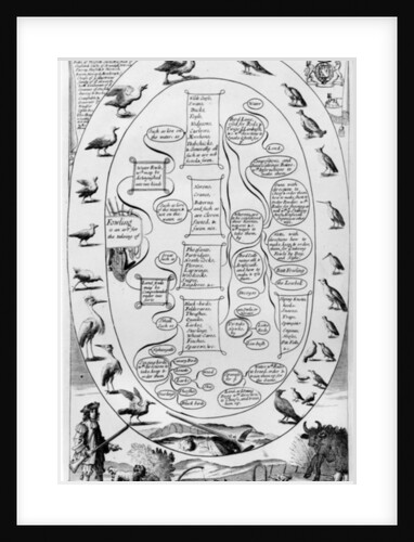 A guide to fowling by English School