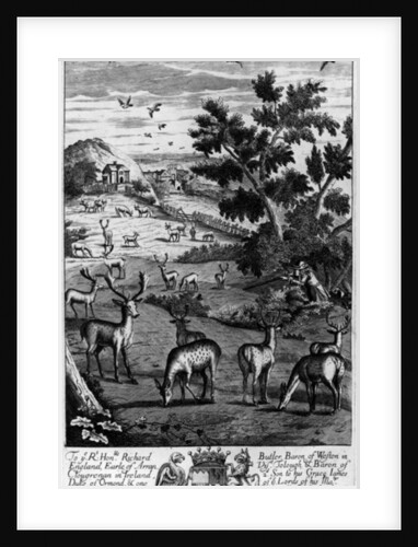 A keeper choosing out of the herd a fat buck to be shot and run down by English School