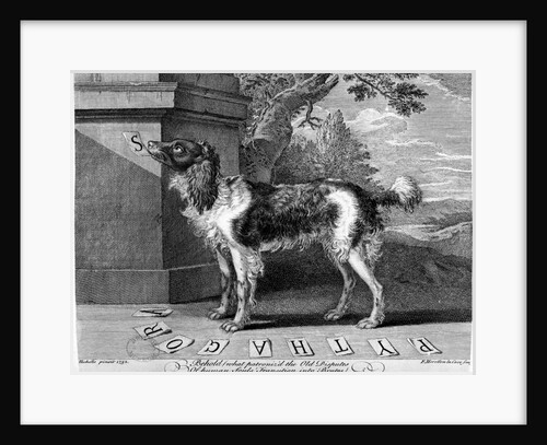 The New Chien Savant, or Learned Dog, print made by F-Morellon la Cave, 1752 by Sutton (after) Nicholls