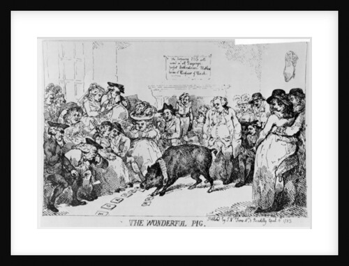 The Wonderful Pig, 1785 by Thomas Rowlandson