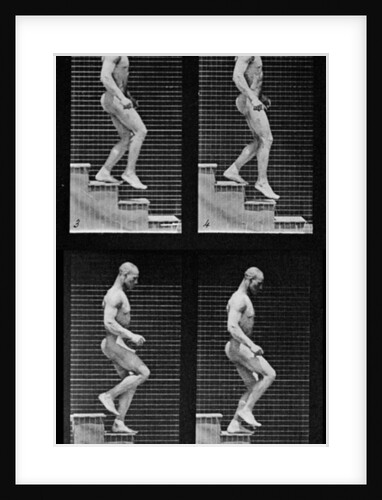 Man descending stairs by Eadweard Muybridge