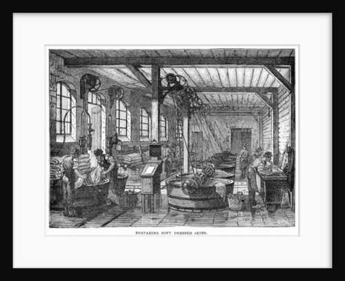 Preparing Soft Dressed Skins by English School