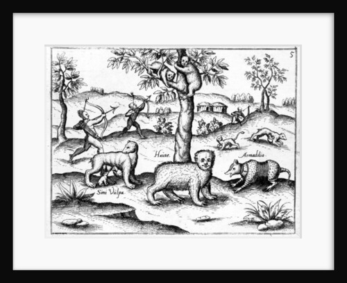 Simi Vulpa, Haute and Armadilio by English School