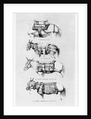 Saddles and Pads Used by the Abyssinian Field Force by Henry James