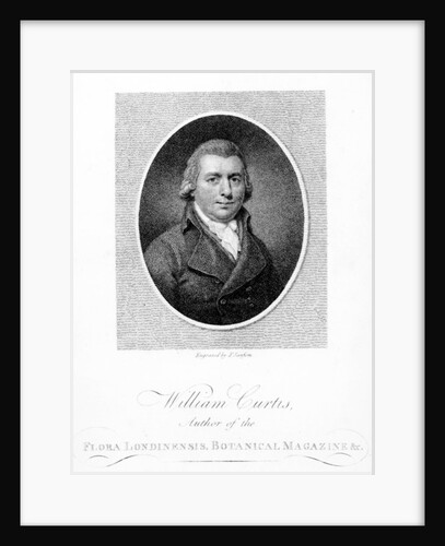 William Curtis, engraved by F. Sansom, 1790 by (after) English School