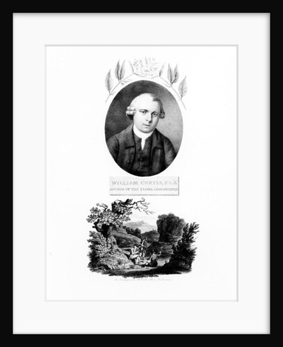 Frontispiece of 'Flora Londinensis', with a portrait of the author William Curtis, edition published in 1802 by English School